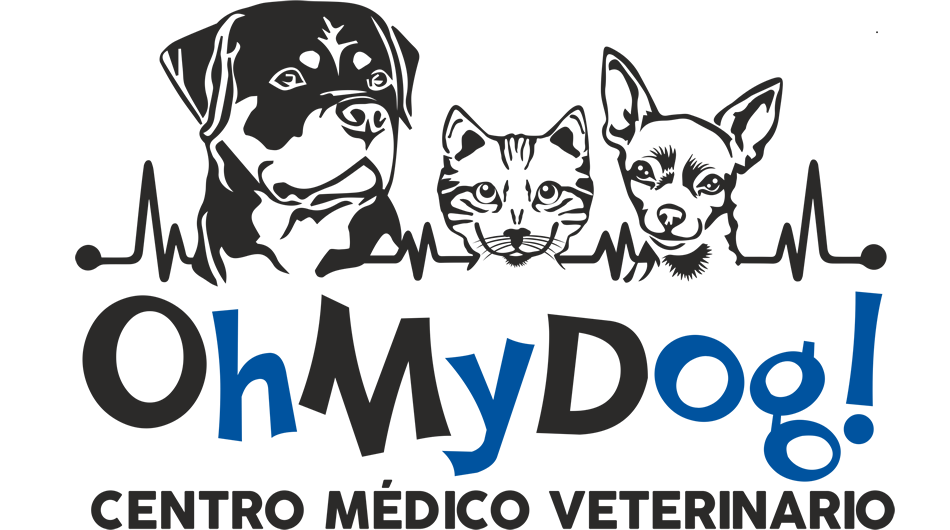 OhMyDog!